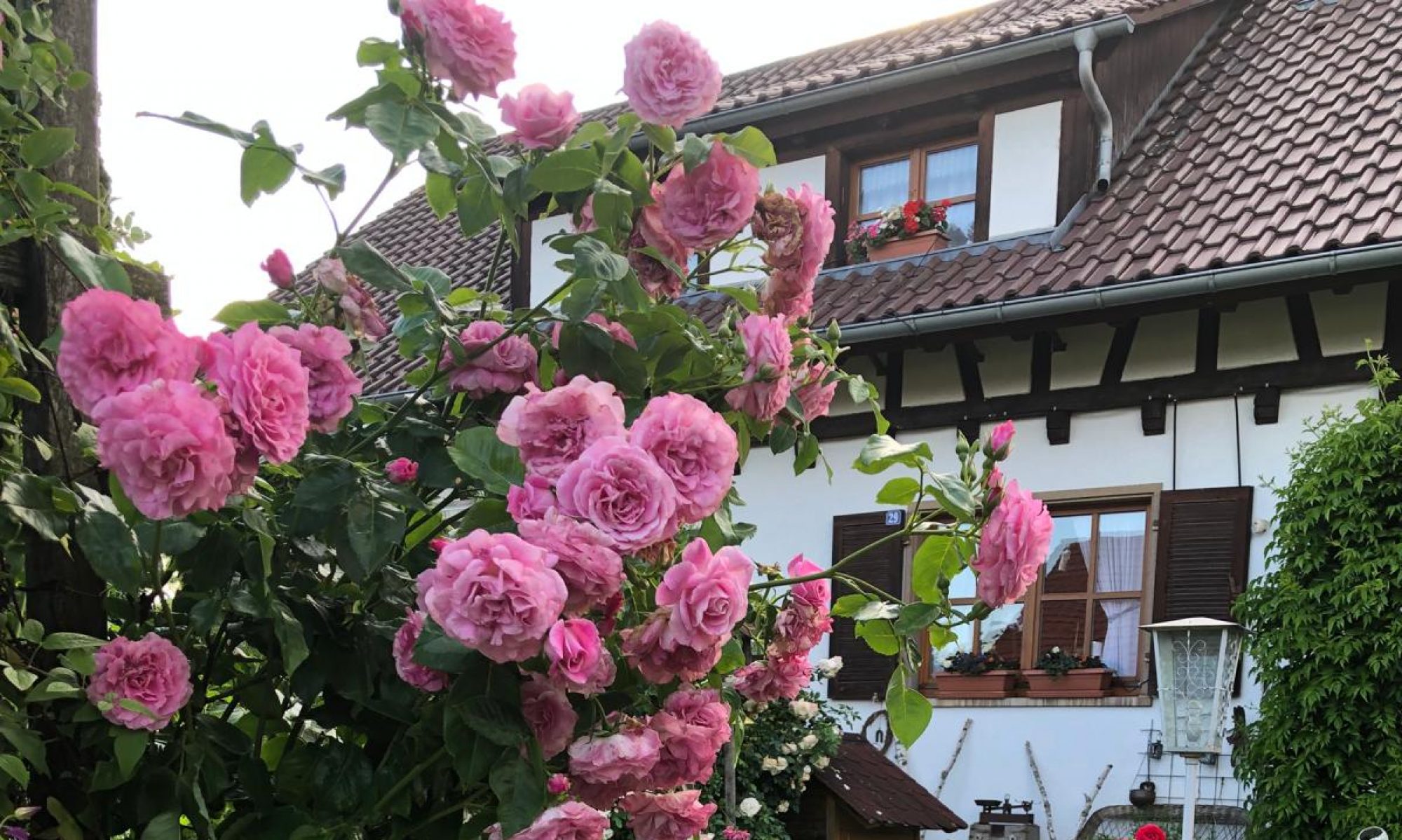schöne Ferienwohnung mit Garten in Owingen am Bodensee