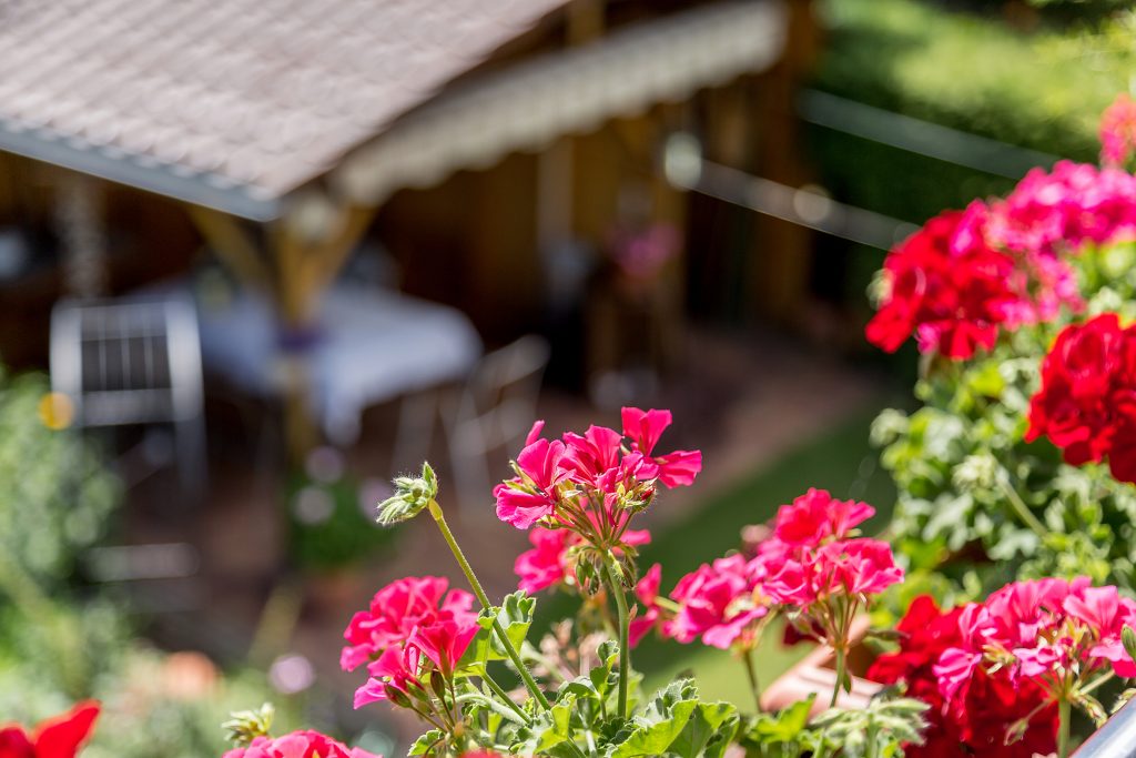 Ferienwohnung in Bodensee mit Garten und Balkon in Owingen